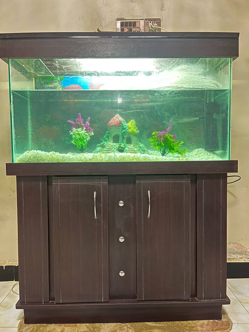 Fish Aquarium Complete 0
