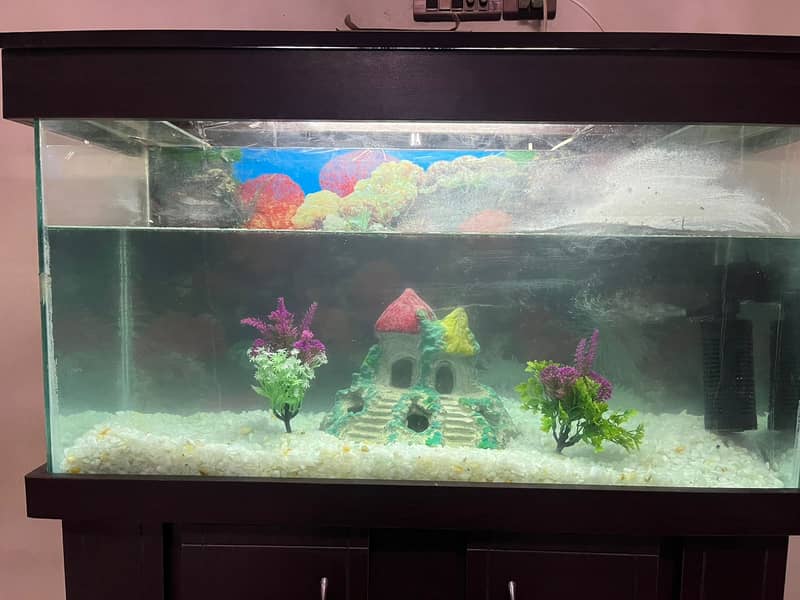 Fish Aquarium Complete 1