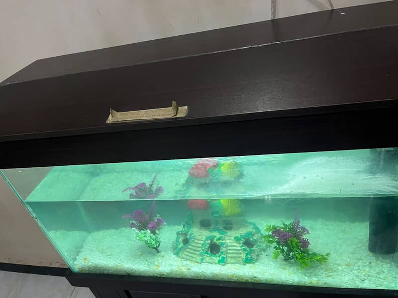 Fish Aquarium Complete 2