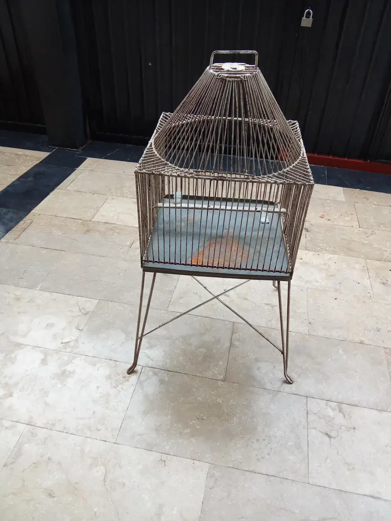 cage for birds