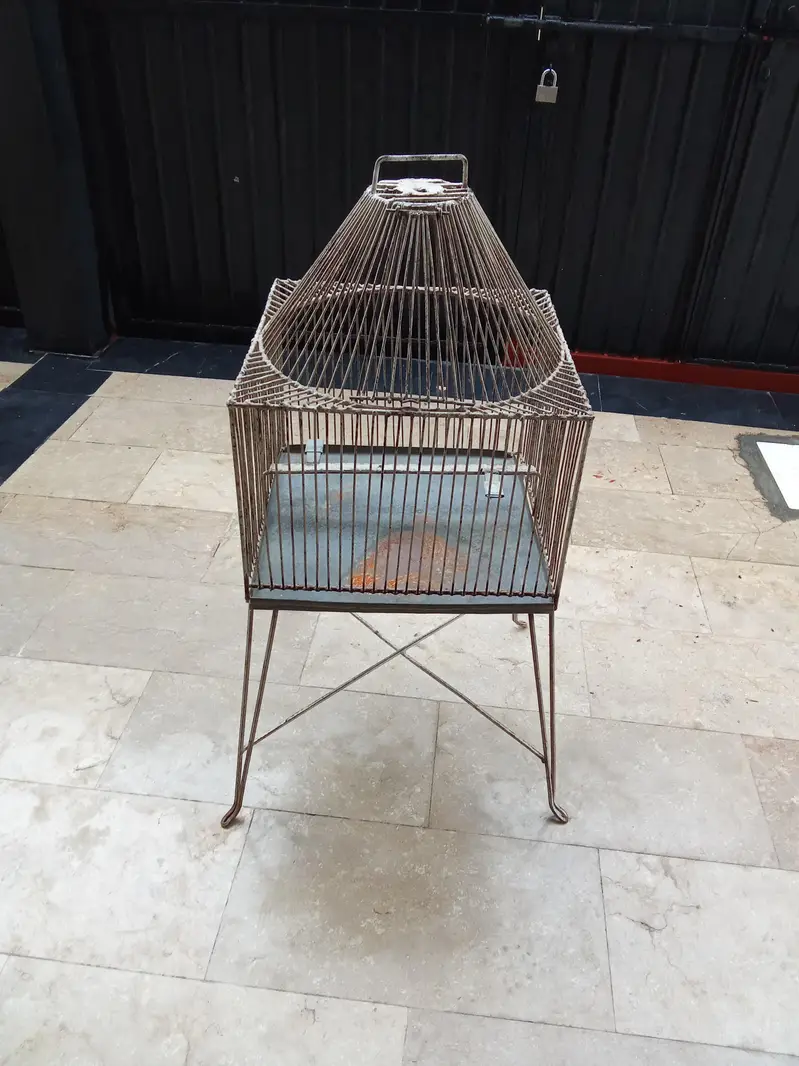 cage for birds — photo 2
