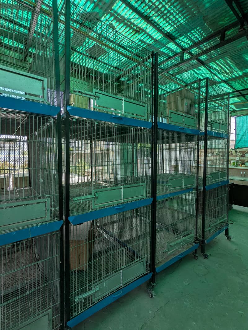 Beautiful view of Big Bird Cages For Sale