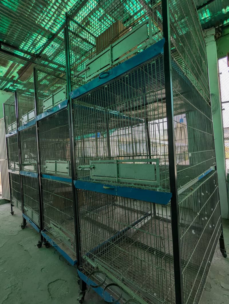 Fresh Look at Big Bird Cages Available For Sale Best Condition