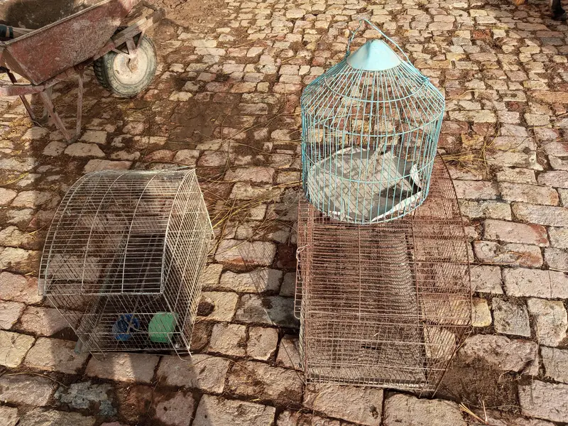 Cage for sell
