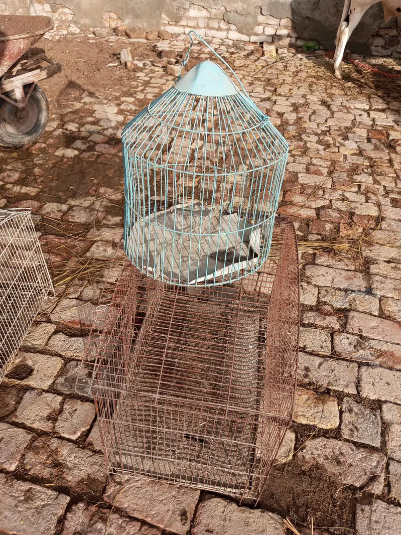Cage for sell — photo 2