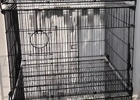 Love Birds Cages used