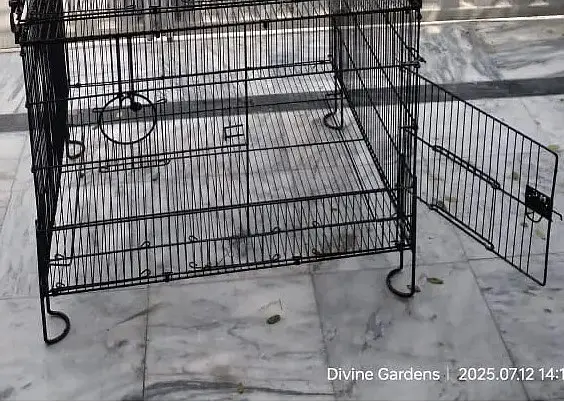 Love Birds Cages used — photo 2