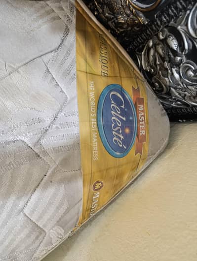 Master celeste king size spring mattress