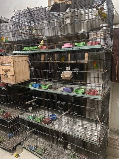 Folding Cages of Different Sizes