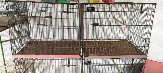 Love birds cage