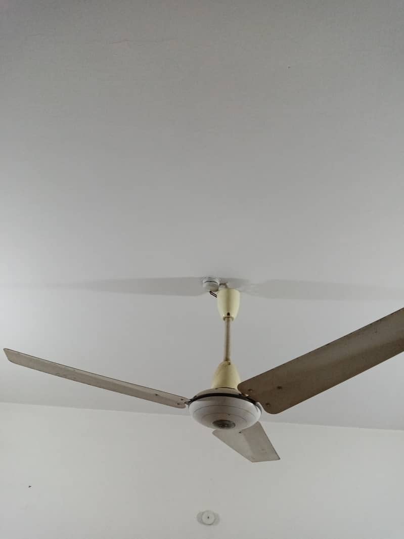 ceiling fan 1