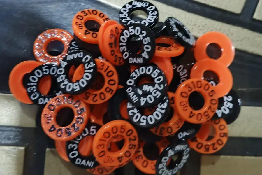 Customized Pigeon Rings 100 Pcs Printed with Name and Phone Number. — photo 3