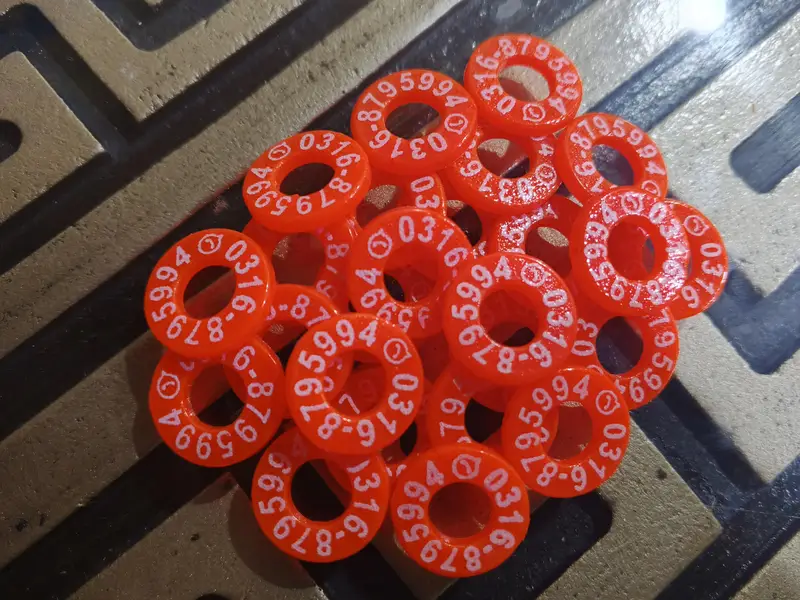Customized Pigeon Rings 100 Pcs Printed with Name and Phone Number. — photo 10