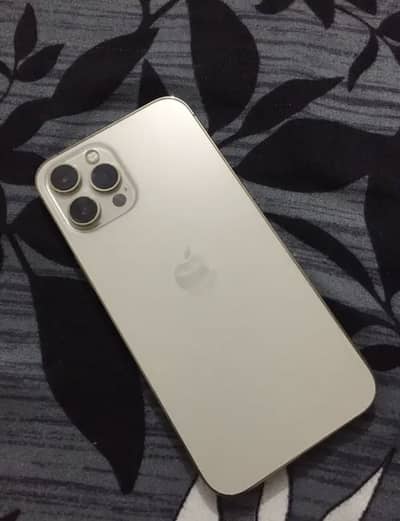 Iphone 12 pro max pta approved