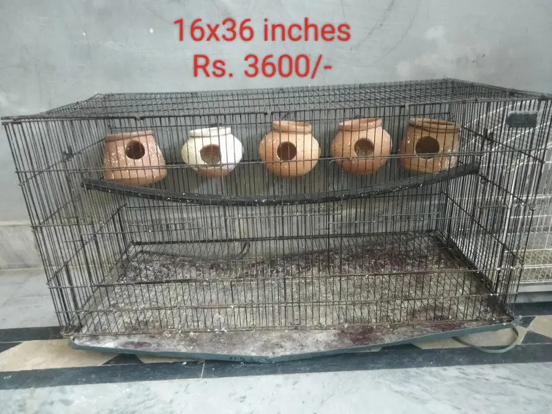 cages for sale