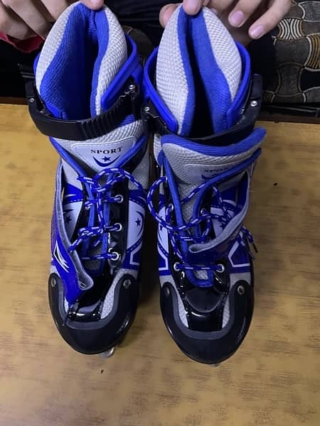 Skating Shoes 0