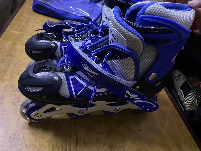 Skating Shoes 1