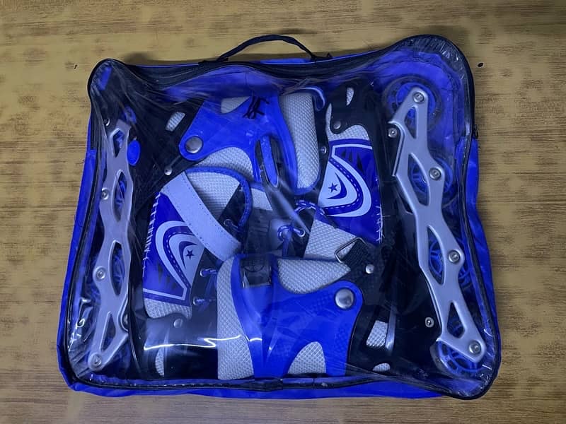 Skating Shoes 2
