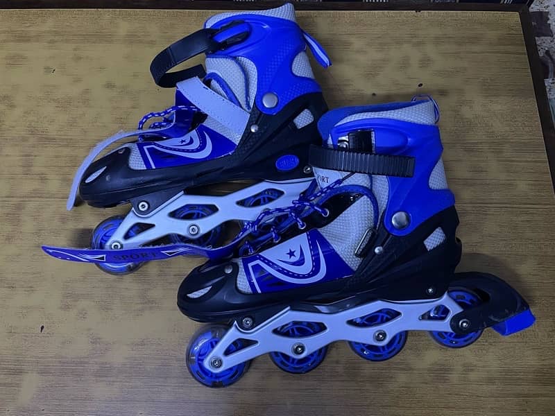 Skating Shoes 3