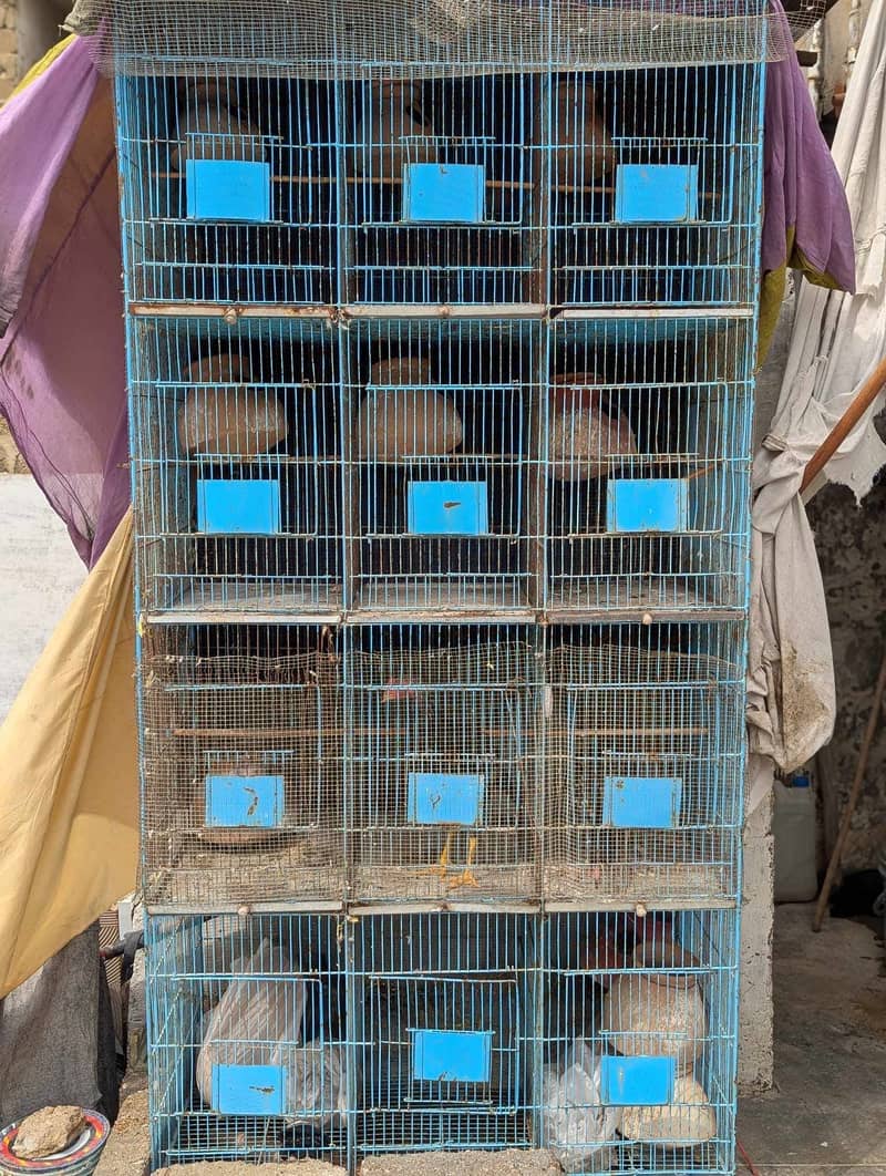 12 Portion cages 0