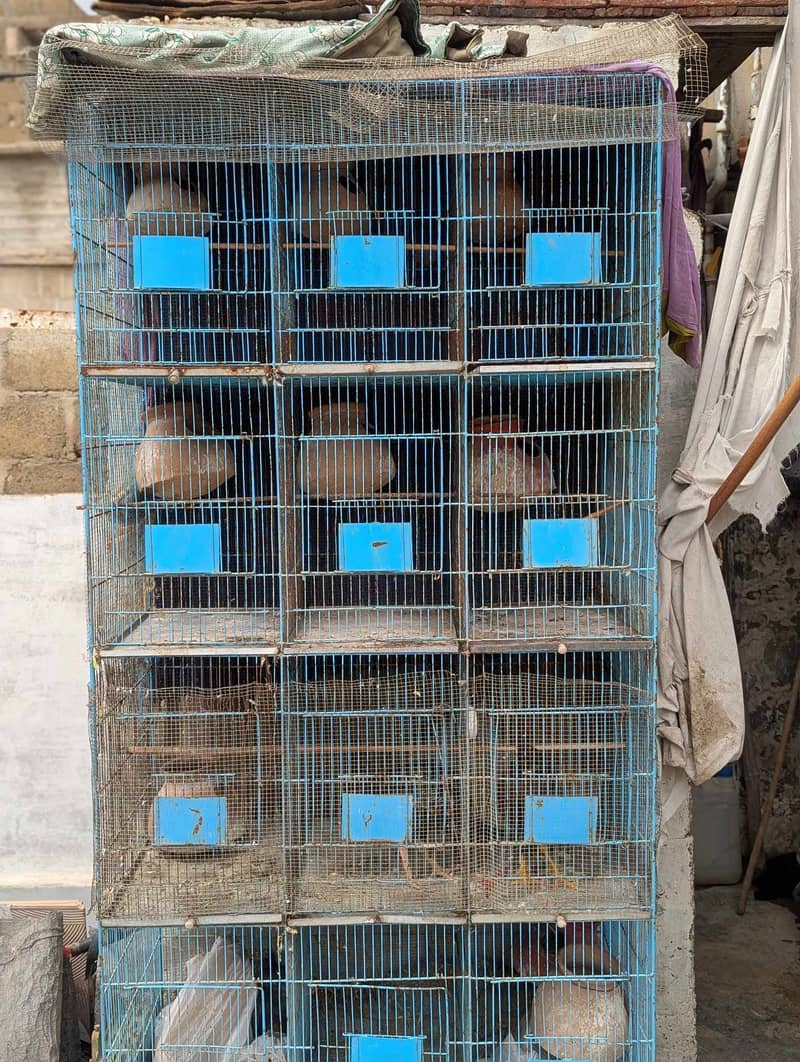 12 Portion cages 1