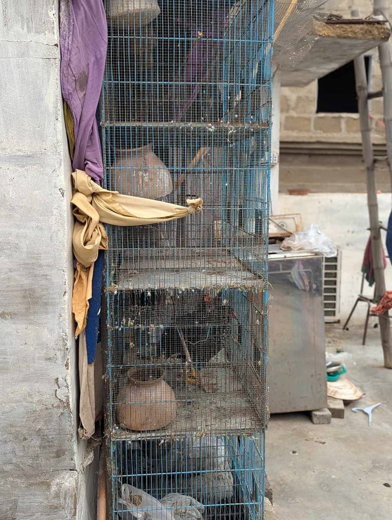12 Portion cages 2