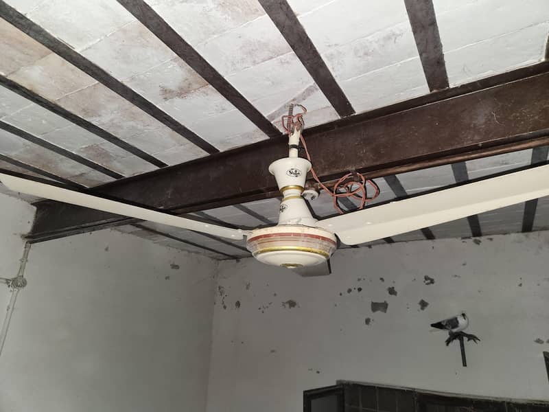 Ceiling Fan 1