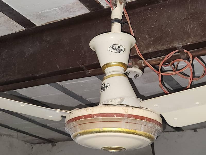 Ceiling Fan 2