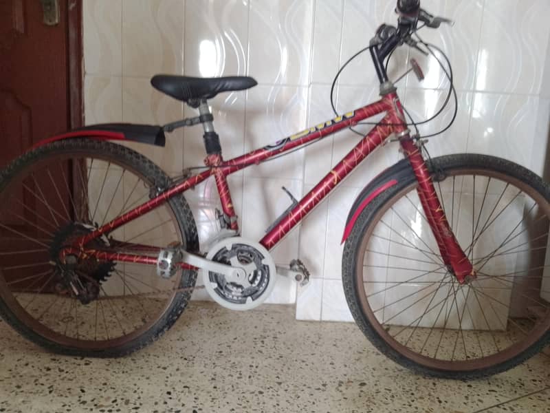 10/10 Condition Cycle – With Light & Cable 1