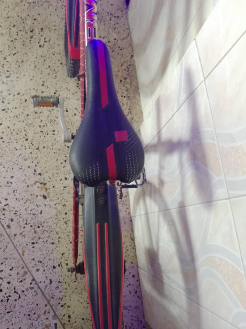 10/10 Condition Cycle – With Light & Cable 2