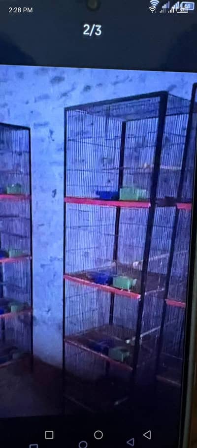 Bird Cage New Like