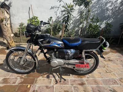 Honda 125 special customisation (look like 2025 shape)