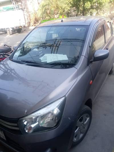 Suzuki cultus