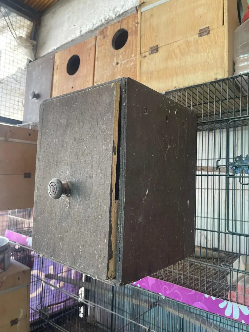 Keeker boxes avlb — photo 3