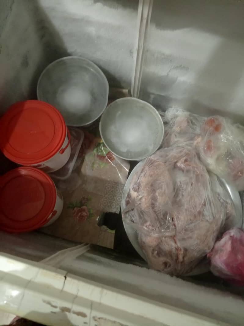 waves deep freezer 2