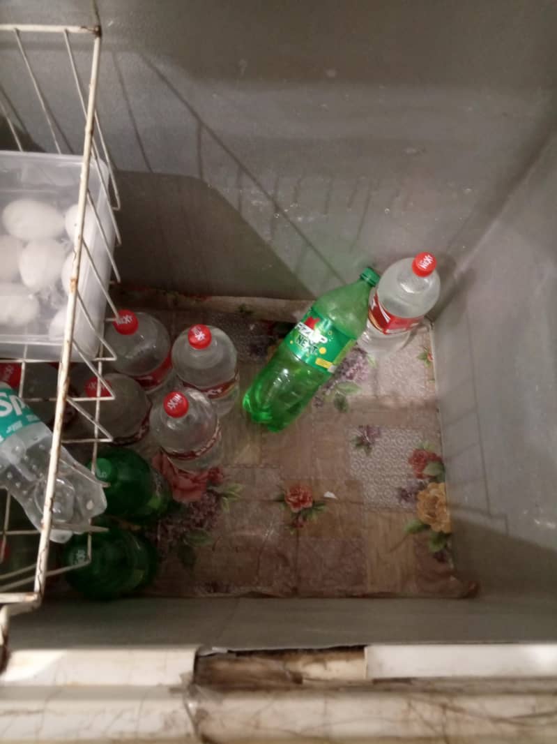 waves deep freezer 4