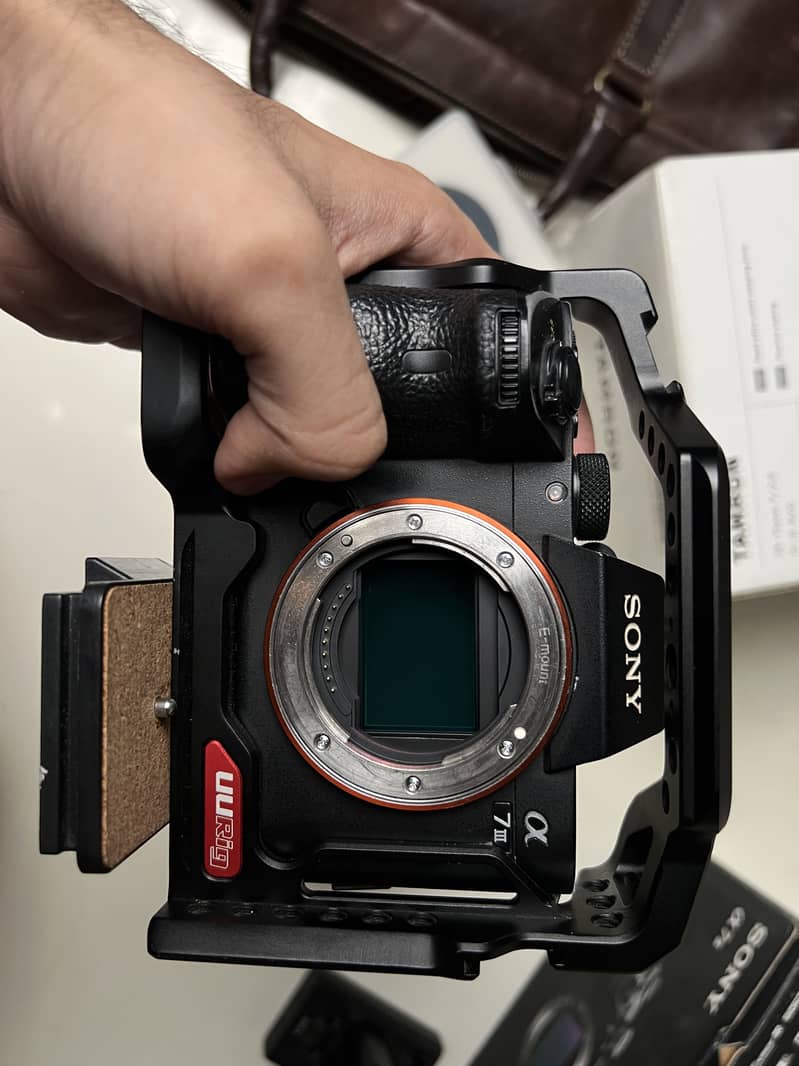 Sony A73 1