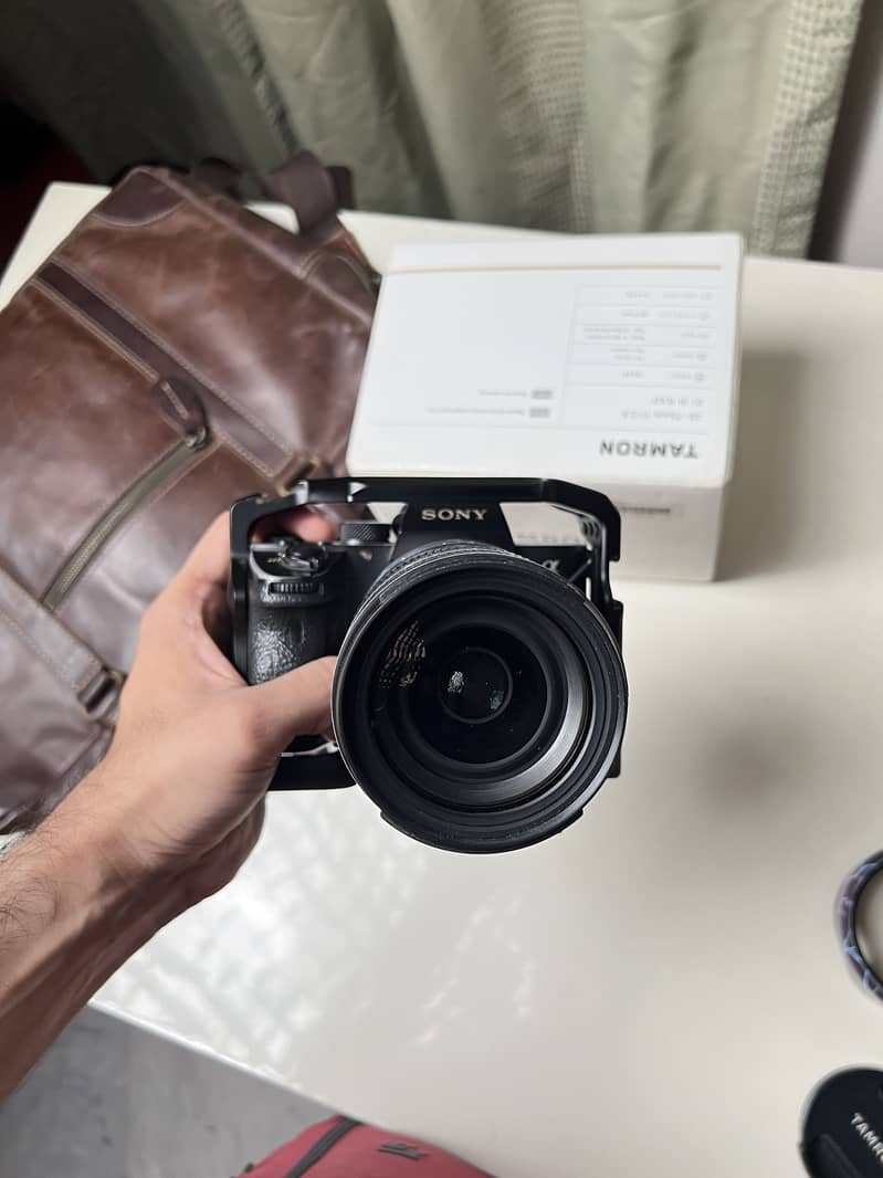 Sony A73 3