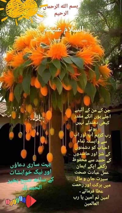 shk huzaifa SAB 