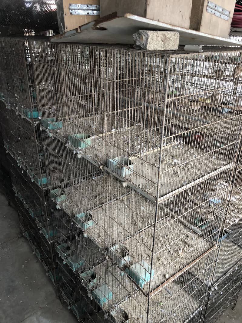 12 & 8 portion cages - Cages, Crates & Doors - 1107298553