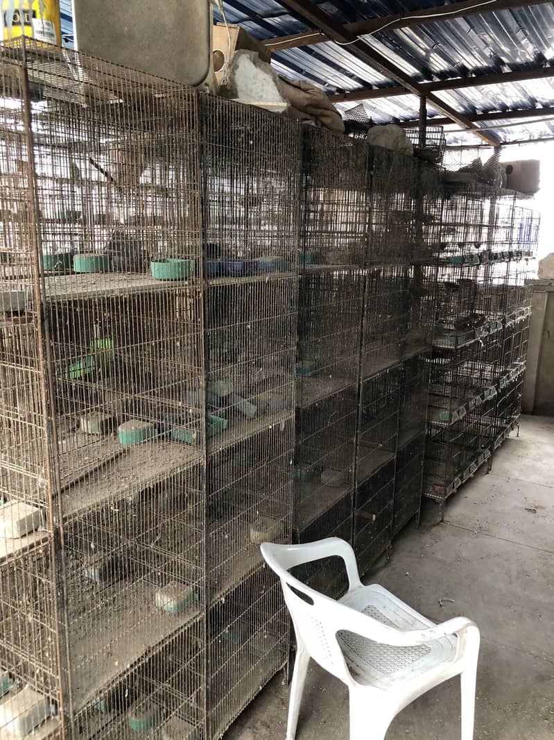 12 & 8 portion cages - Cages, Crates & Doors - 1107298553