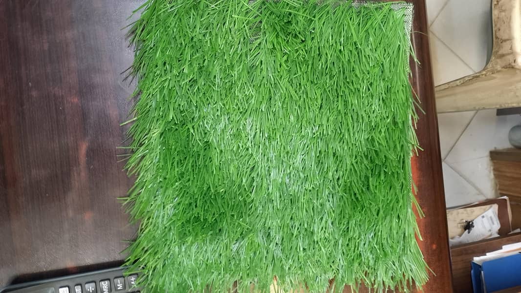 artificial grass 1