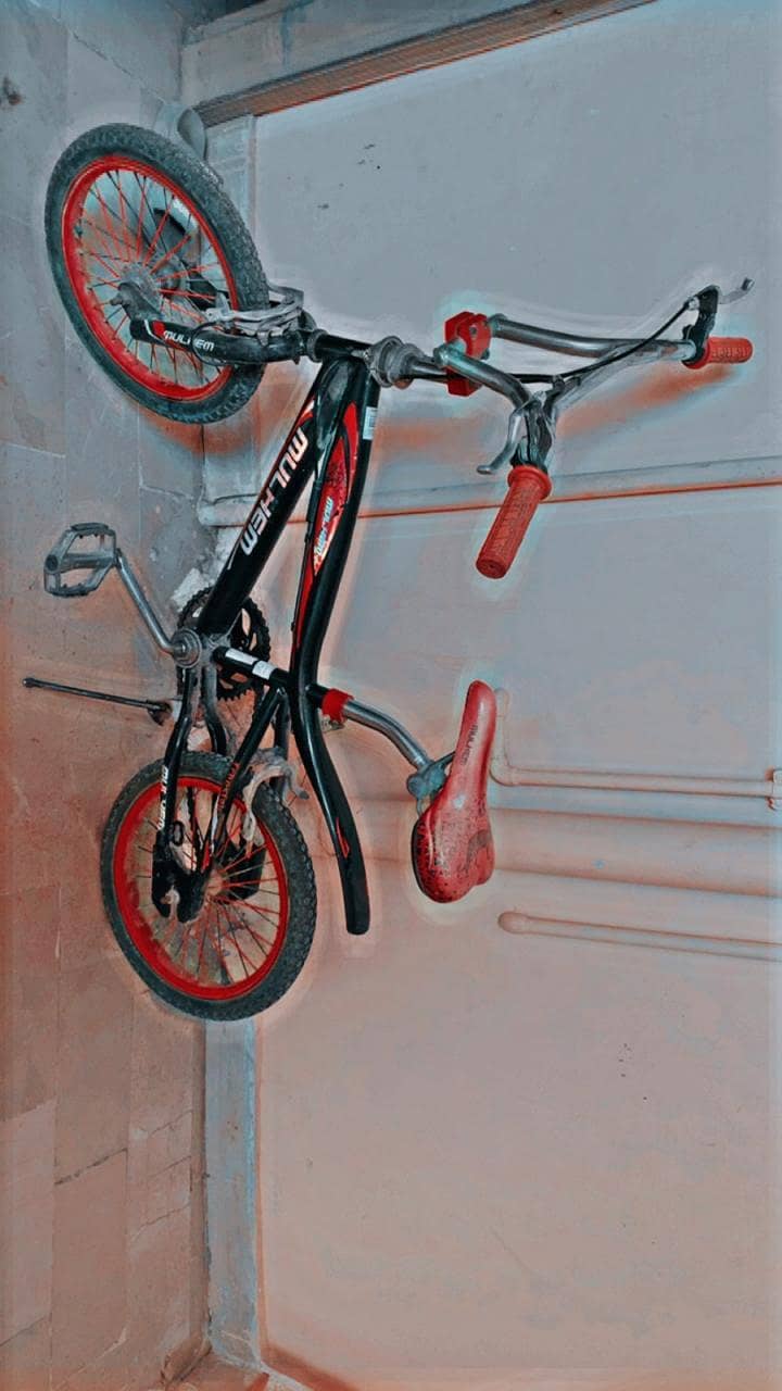BMX bicycle 1