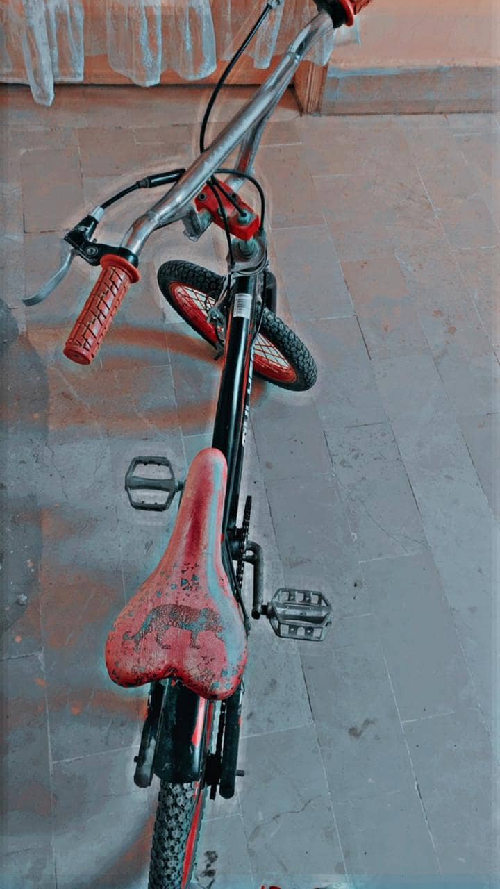 BMX bicycle 2