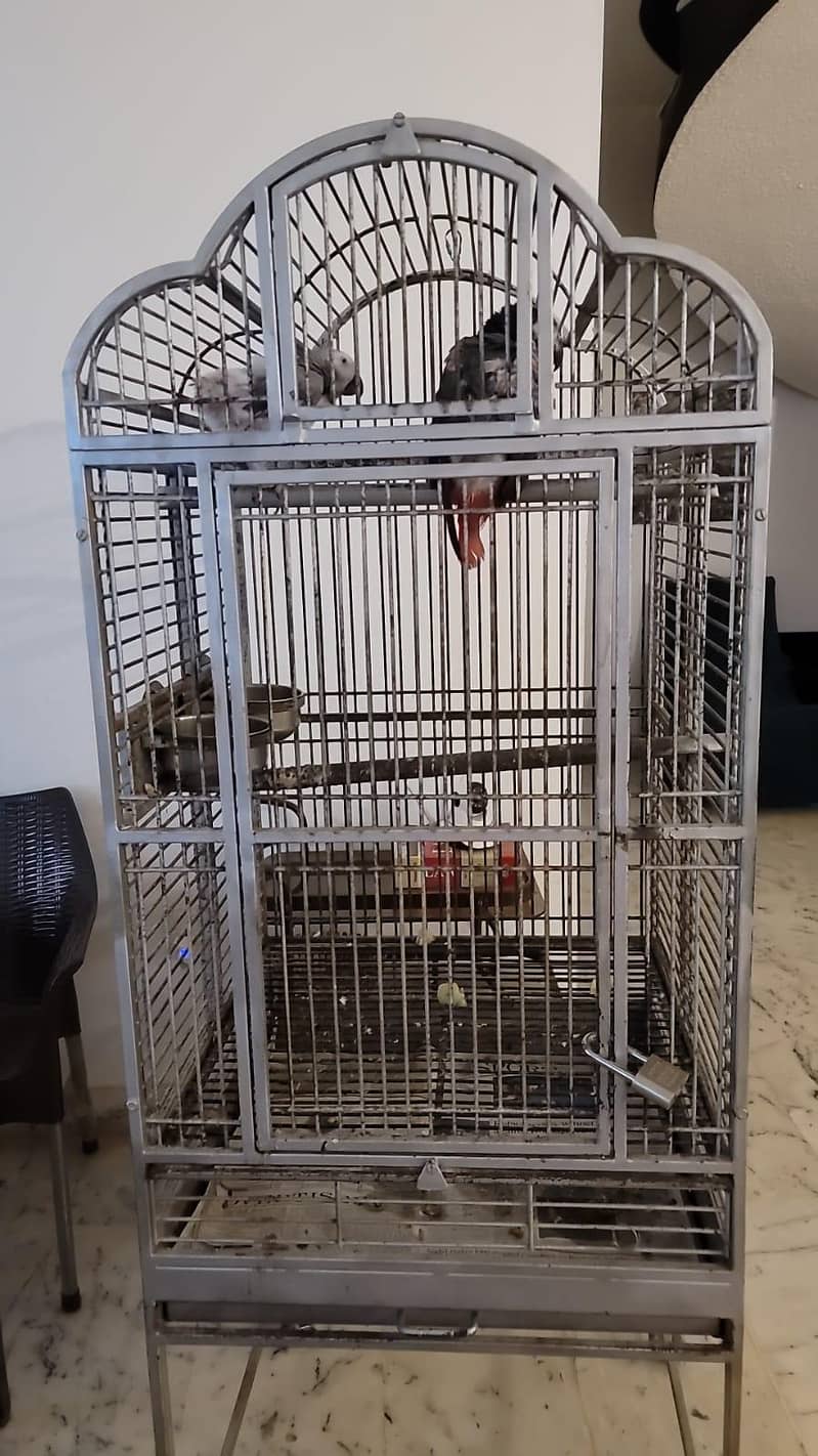 Image showcasing Grey Parrot/ Big Bird Cage - Cages, Crates & Doors - 1107328668