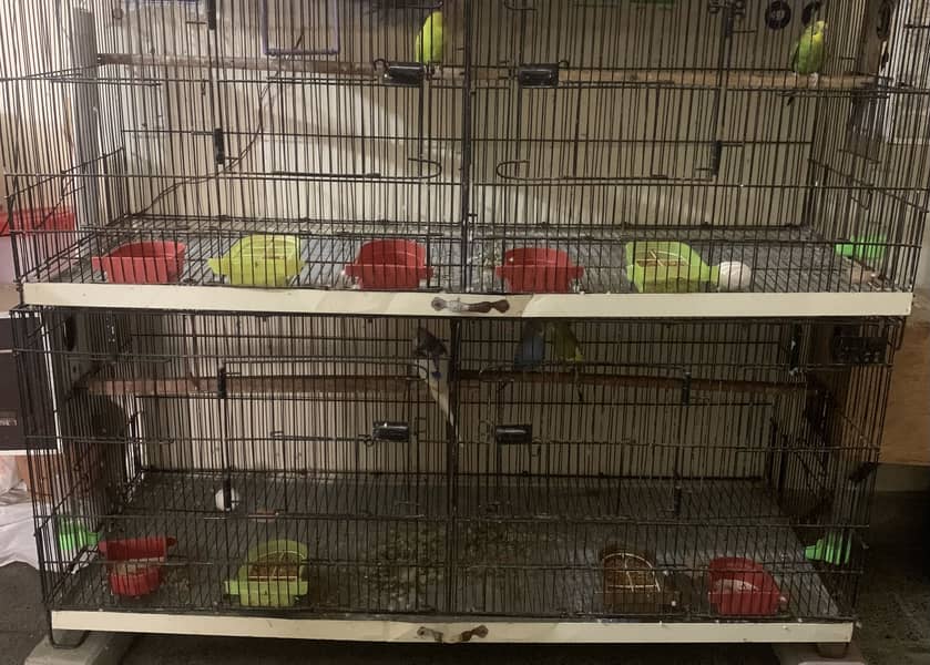 Two Parrot’s Cage - Cages, Crates & Doors - 1107343028