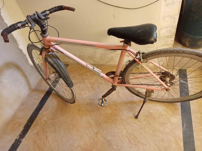 Scott Road Bicycle 1