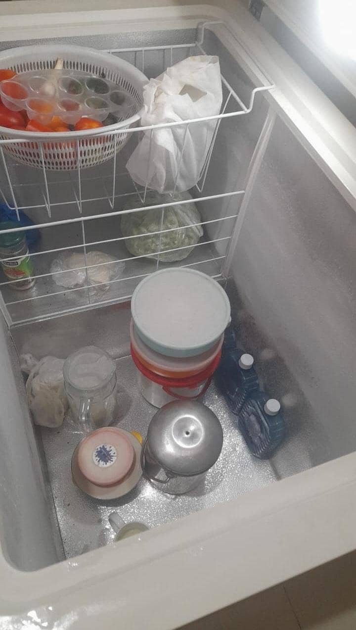 waves deep freezer 4