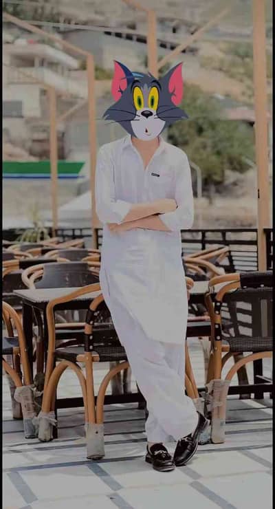 tauqer Khan 
