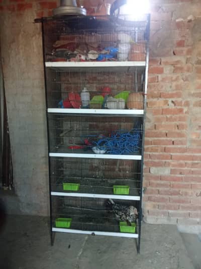 Love Bird Cage for sale